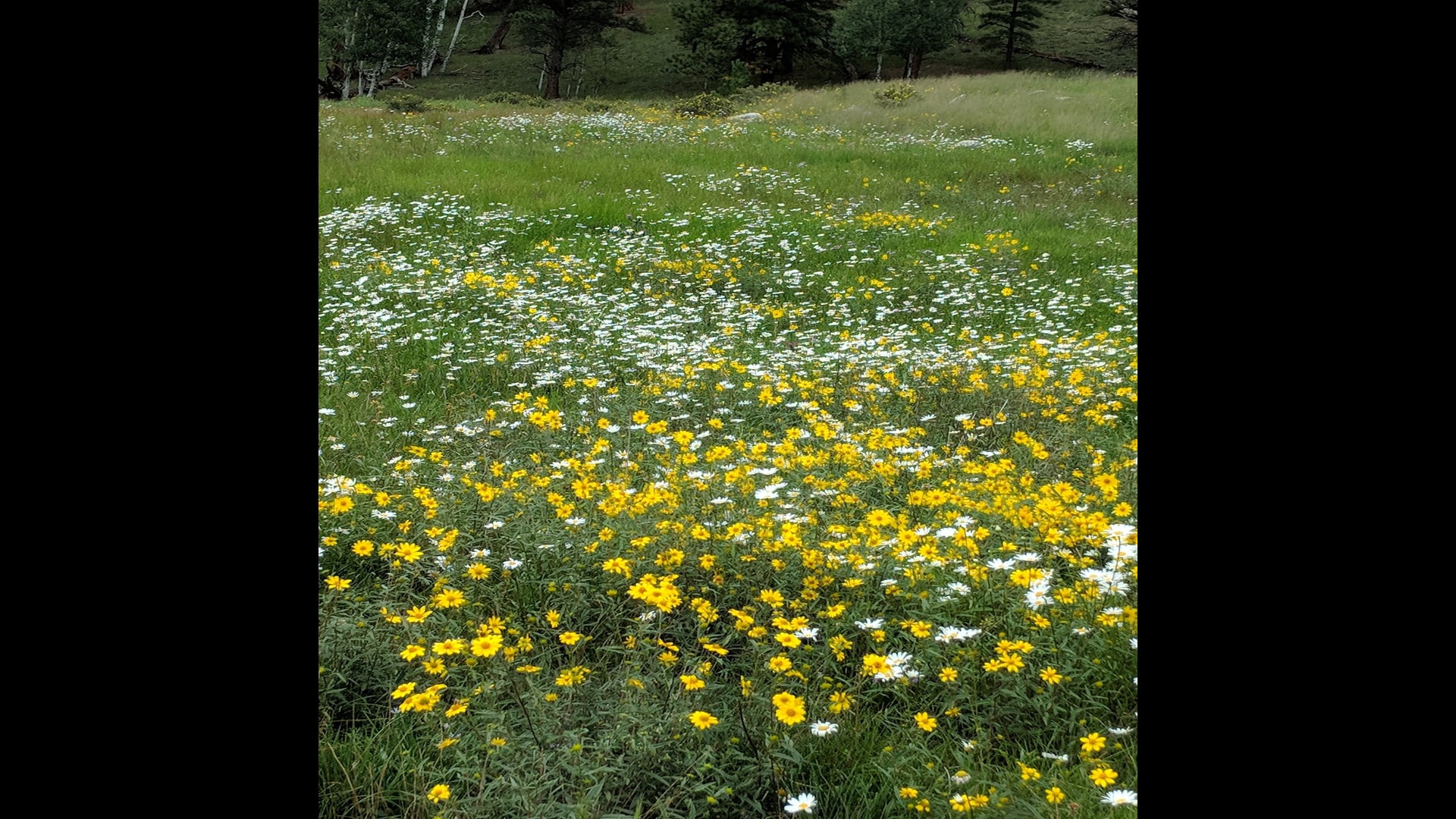 2021 March 09: Emphasizing the Importance of Tranquility