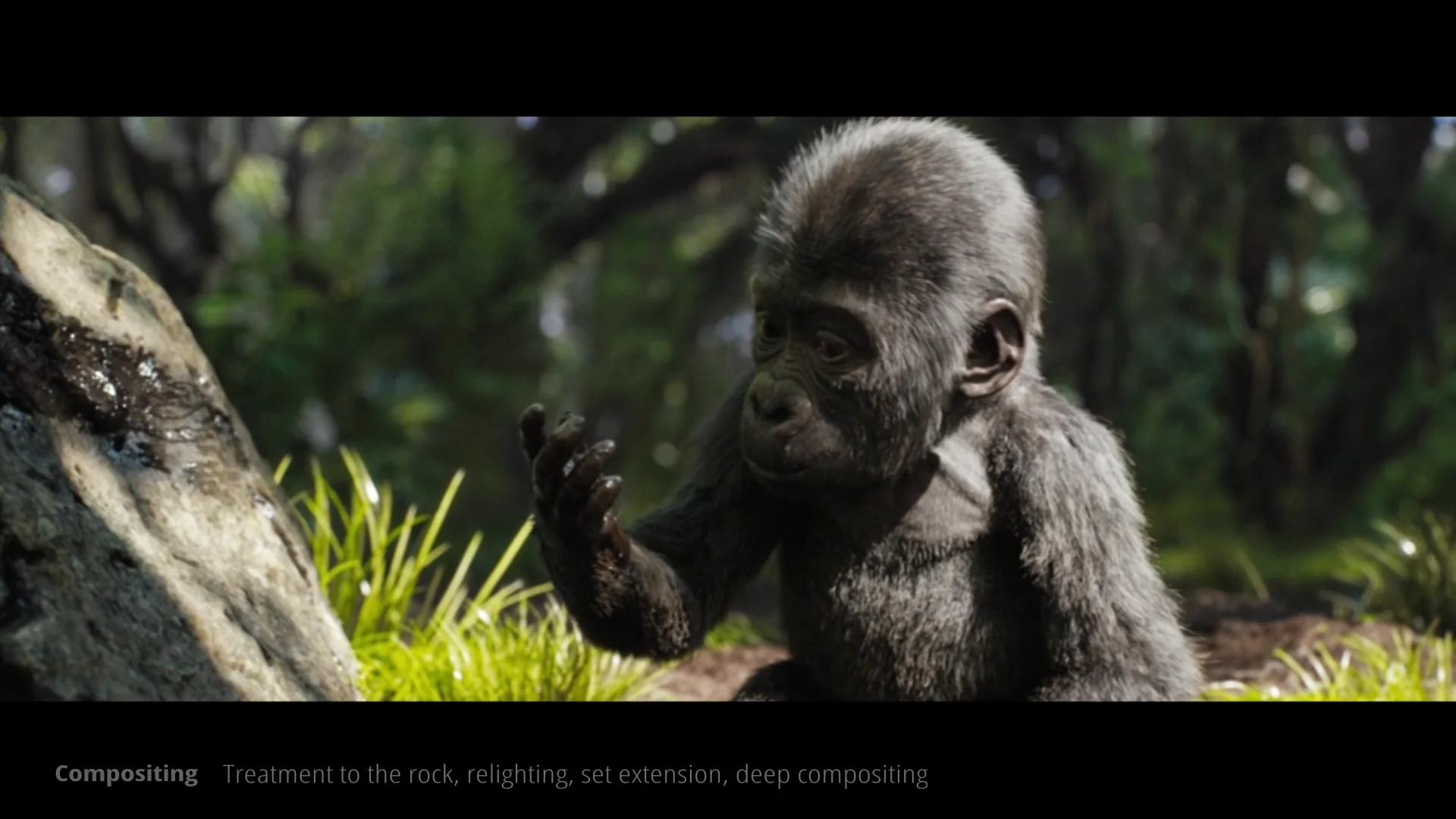 Айван, единственный и неповторимый (2020). One and only one. The one and only. Айван, единственный и неповторимый (2020). The one книга.