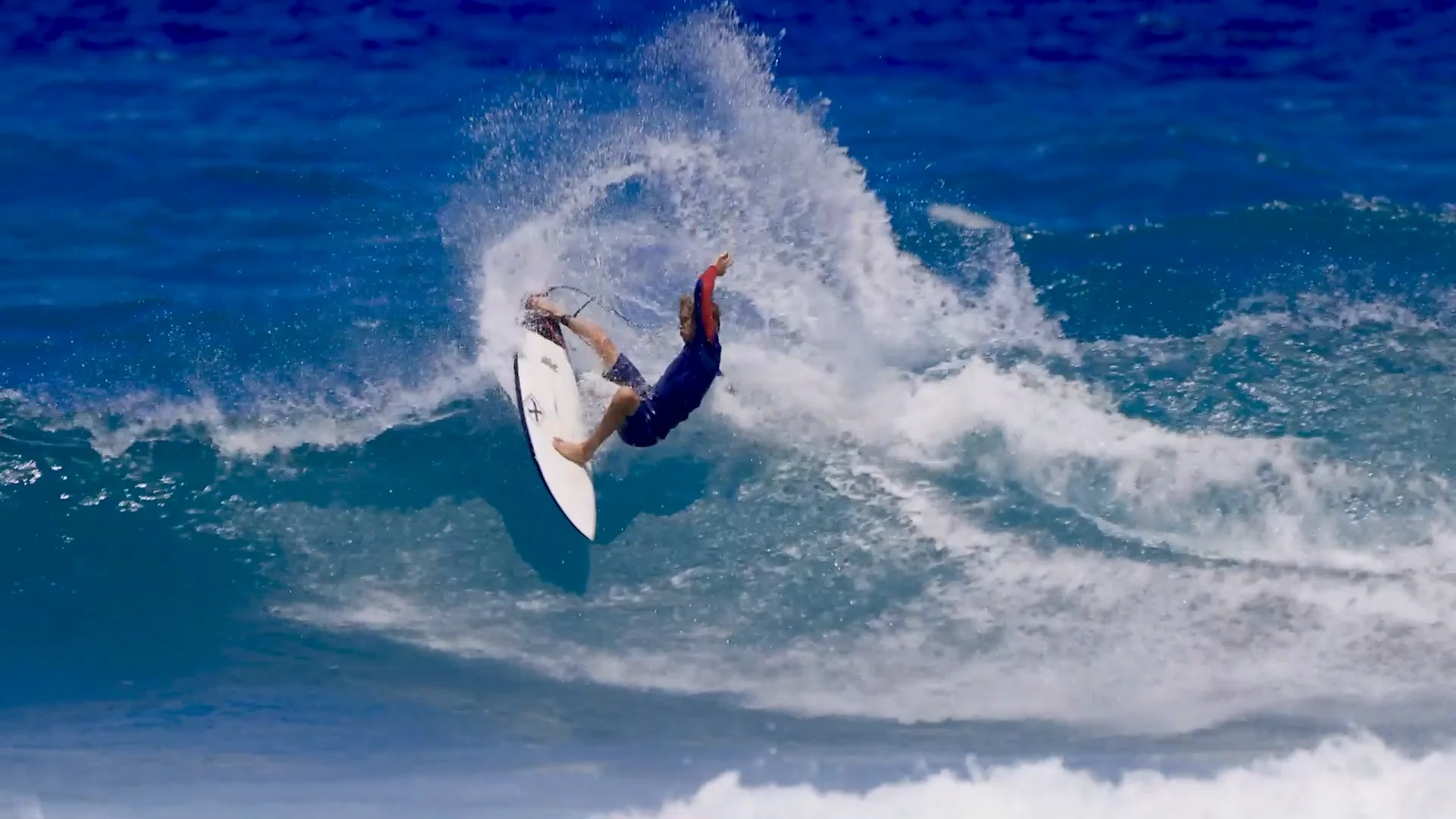 ZANY - XANADU SURF DESIGNS
