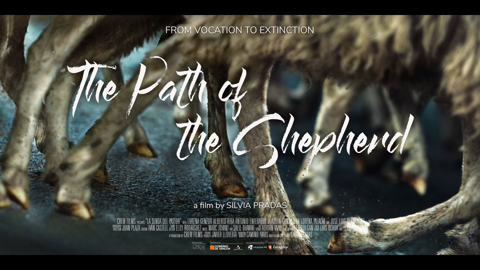 The Path of the Shepherd // Trailer