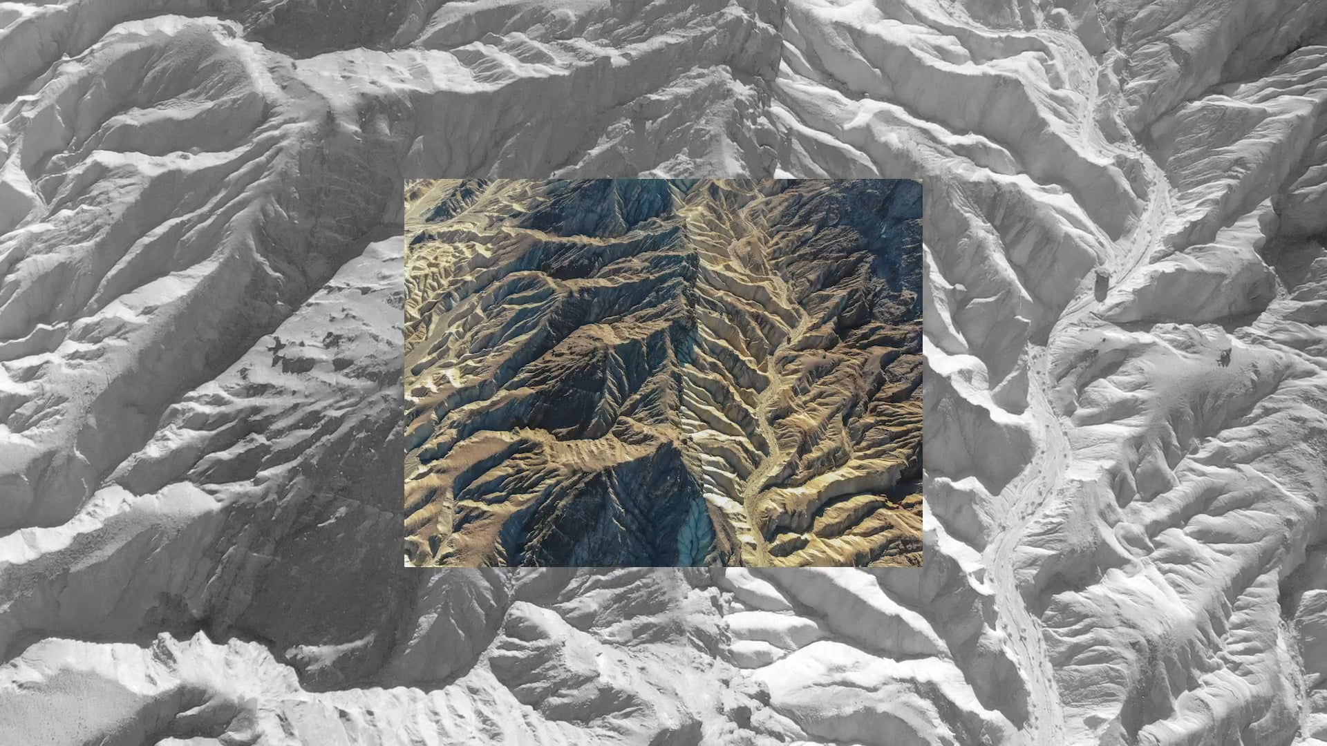 Jungle & Gazon - Teaser