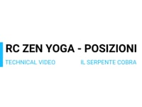 RC ZY - VT IL SERPENTE COBRA