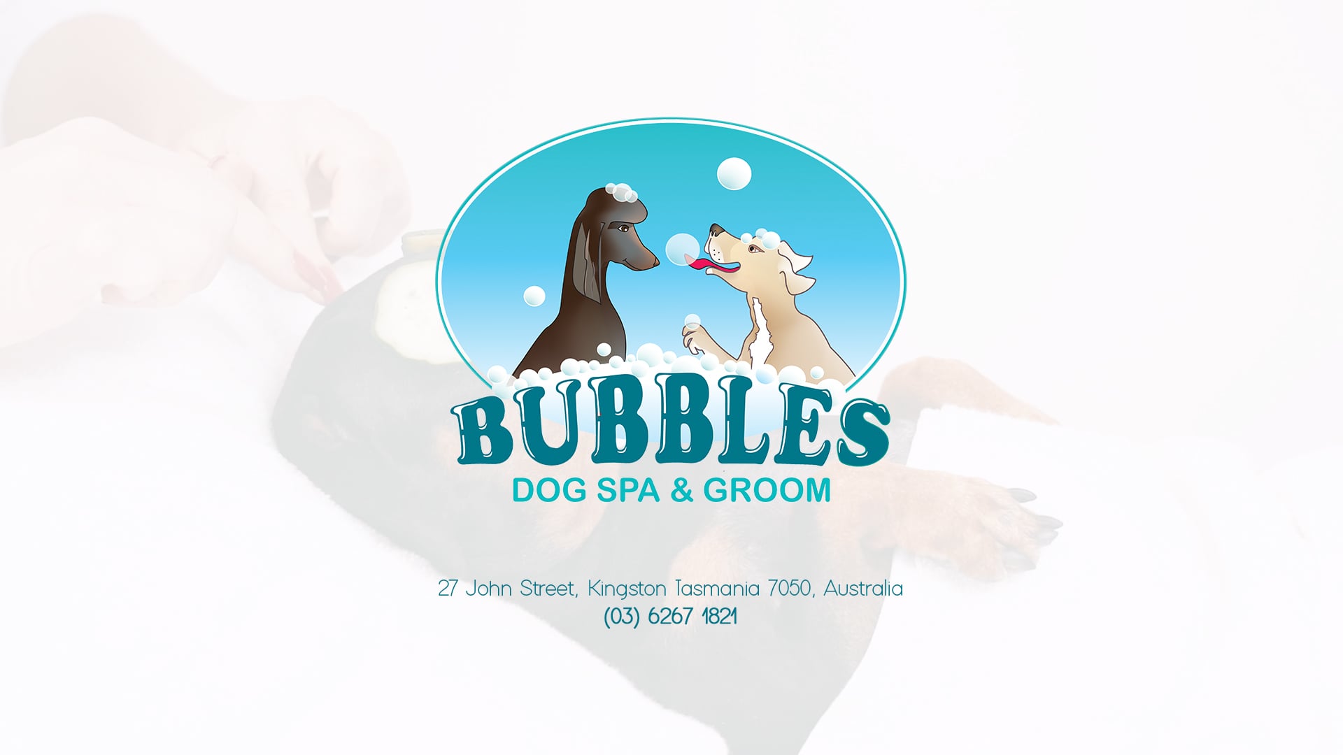 Bubbles pet sale salon and spa