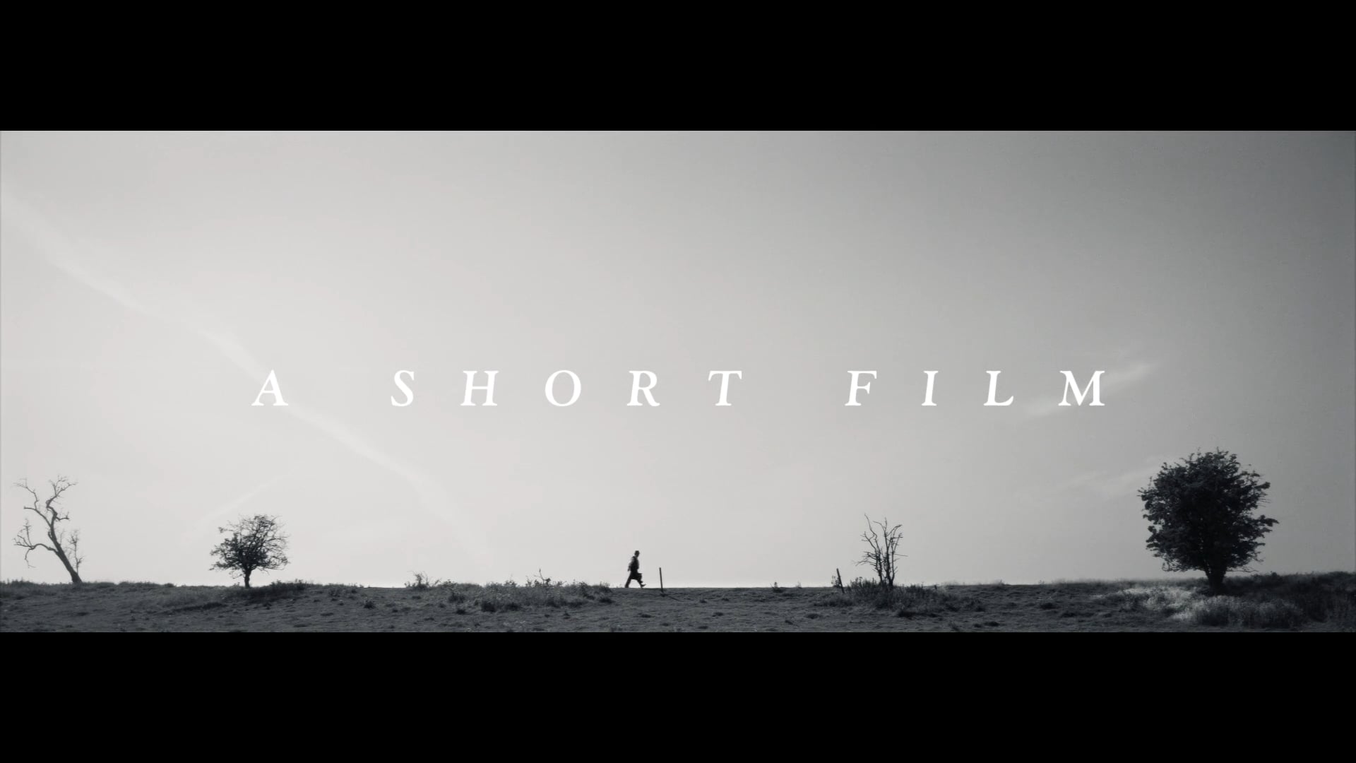 Taj Mahal presents… A Short Film