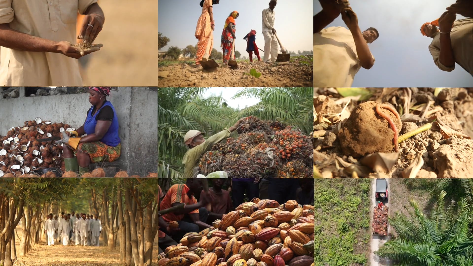 EarthWorm Foundation's Content Bank