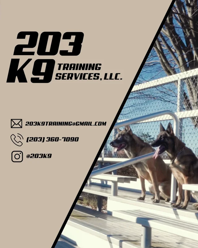 K9 2024 training services