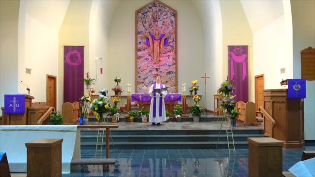 Video Placeholder image