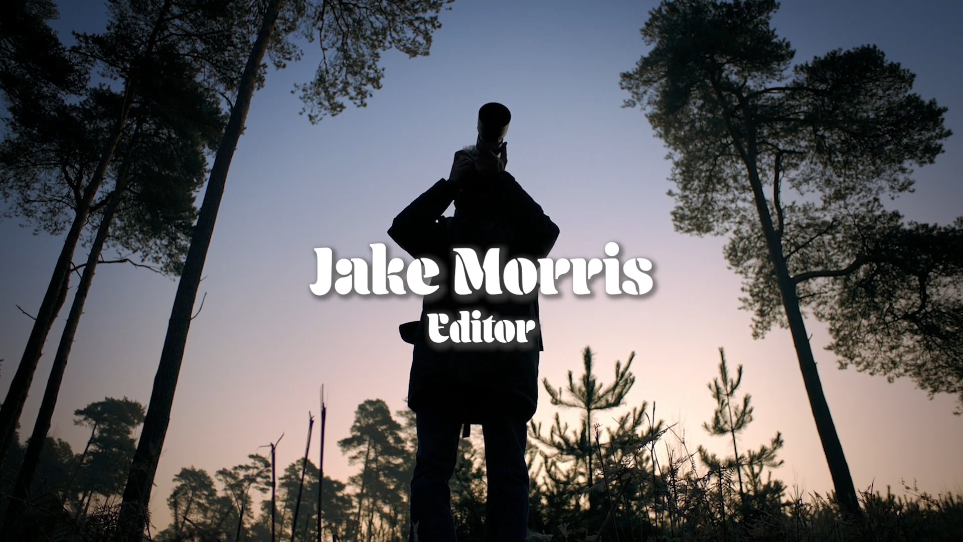 Edit Showreel 2020