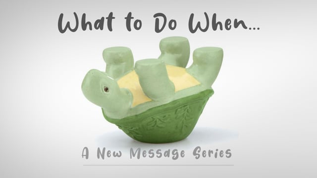 What to do when...You Have Lost Hope.