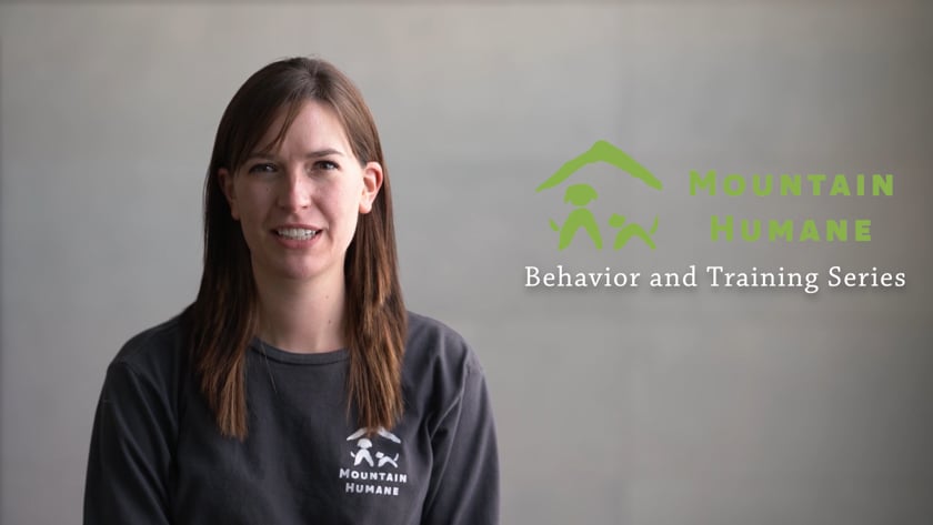 vimeo-video-thumbnail