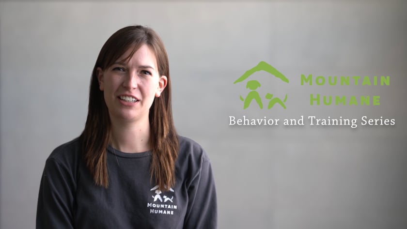 vimeo-video-thumbnail