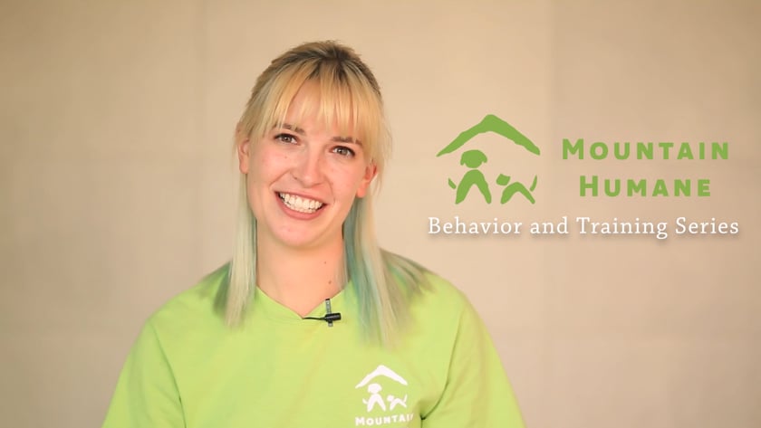 vimeo-video-thumbnail