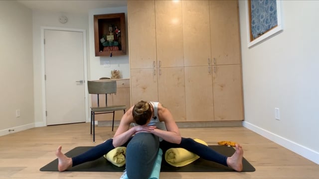 Special Guest Class: Restorative Yoga for Stress Relief w/ Emily Benaron