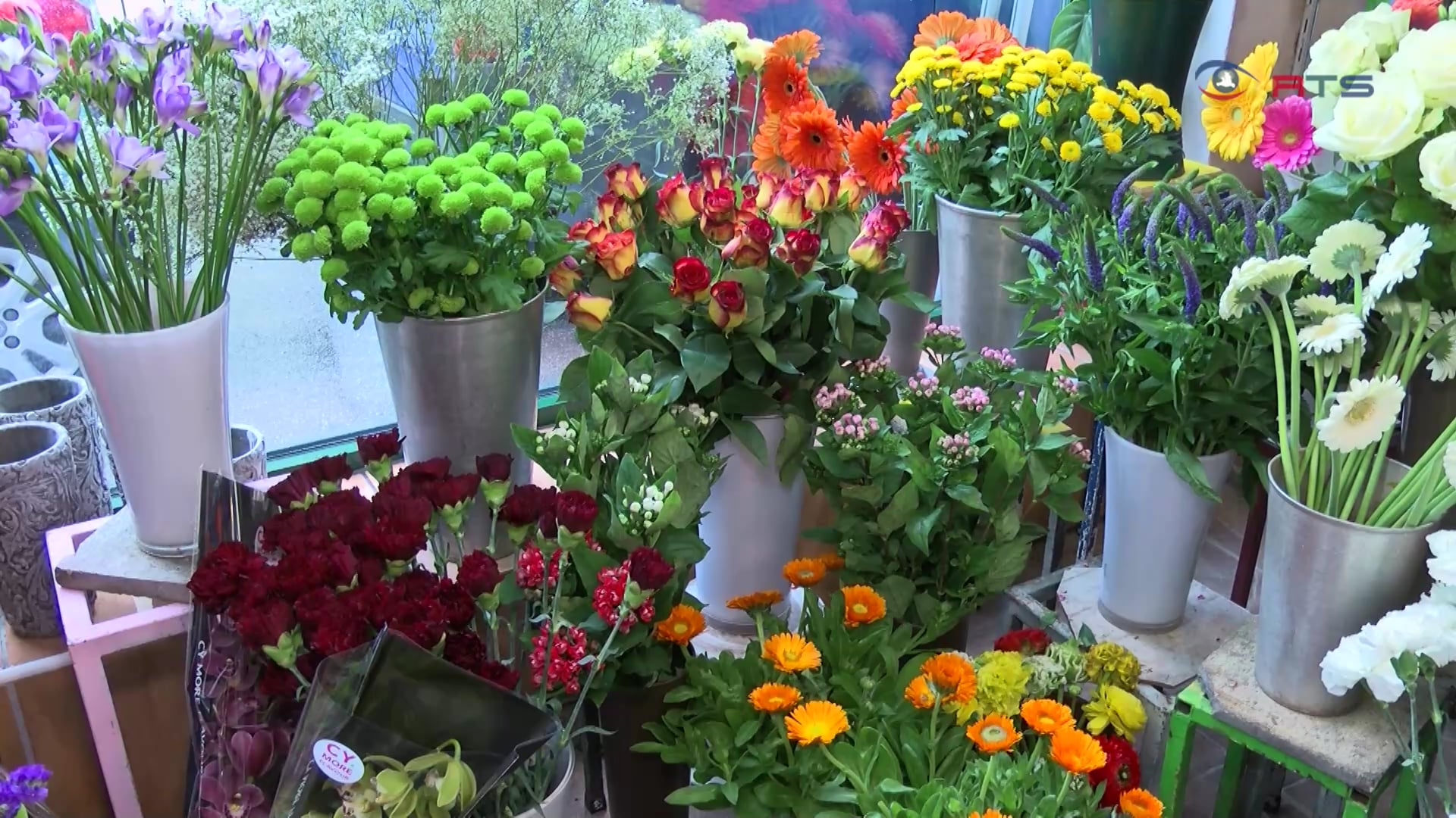 kraeuter-und-dekotipps-von-blumen-ruhnau-in-hallein
