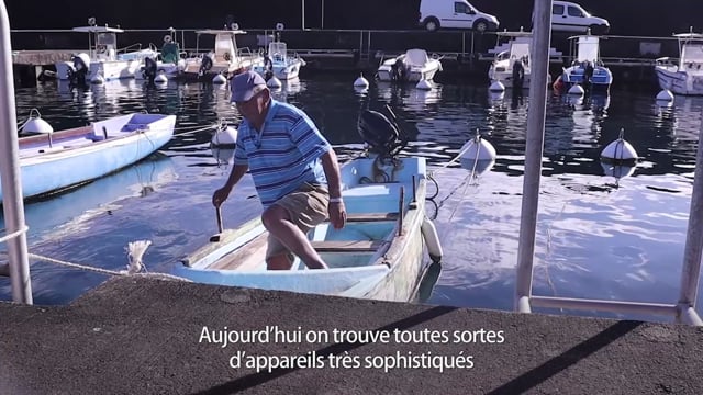 Stopper la pêche intensive - Vidéo ePOP