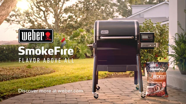 Connect Smart Grilling Hub by Weber at Fleet Farm