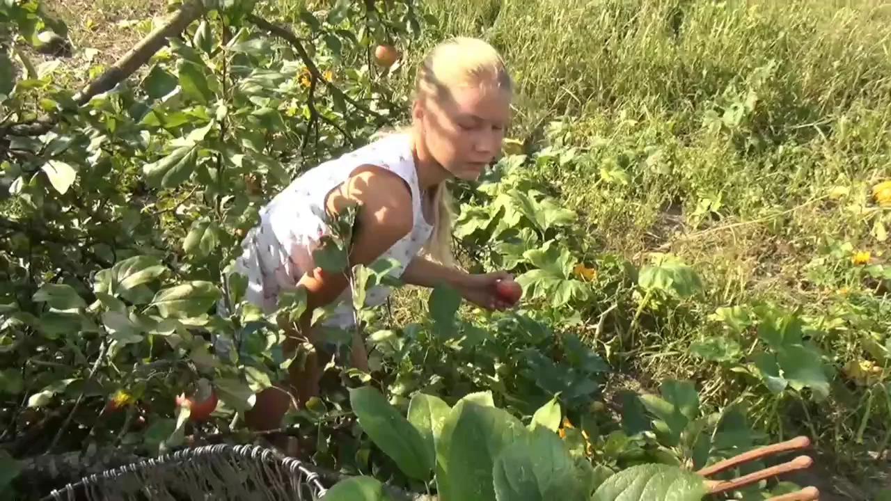 Mlana picks apples.movie