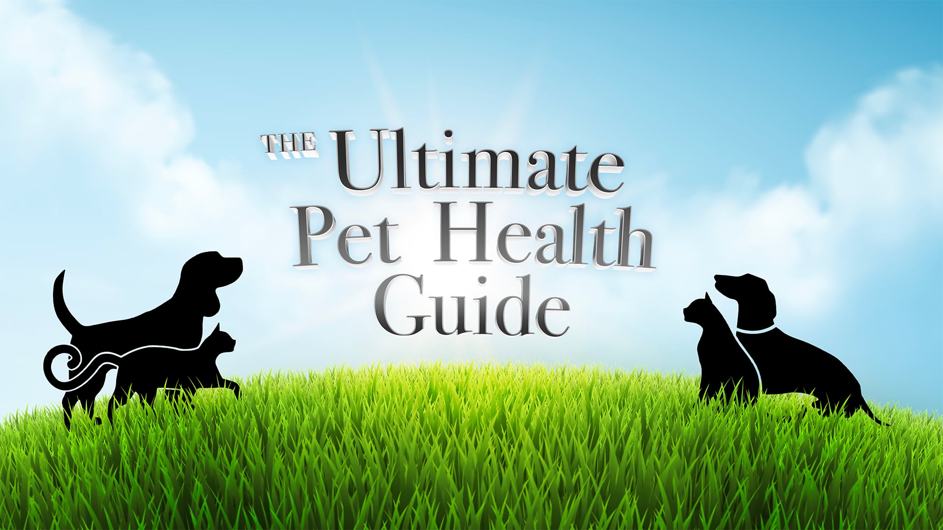Ultimate Pet Health Guide Promo Long on Vimeo