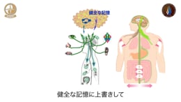 施術法の紹介｜ ファミリーカイロプラクティックセンター福岡