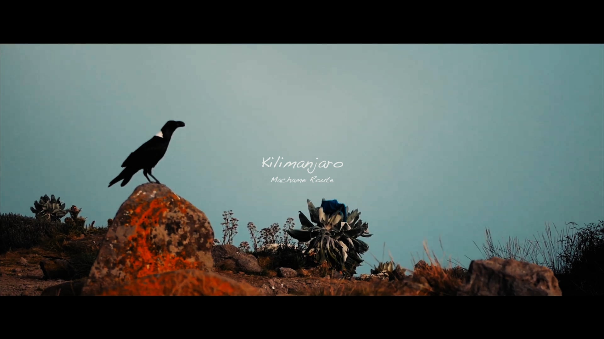 Trailer Kilimanjaro