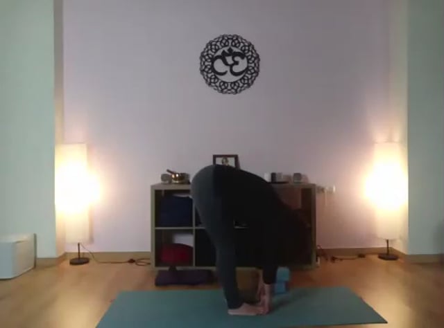 Progresión gradual de flexiones.