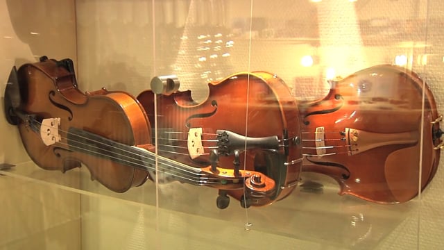 Strijkinstrumentenshop Rental