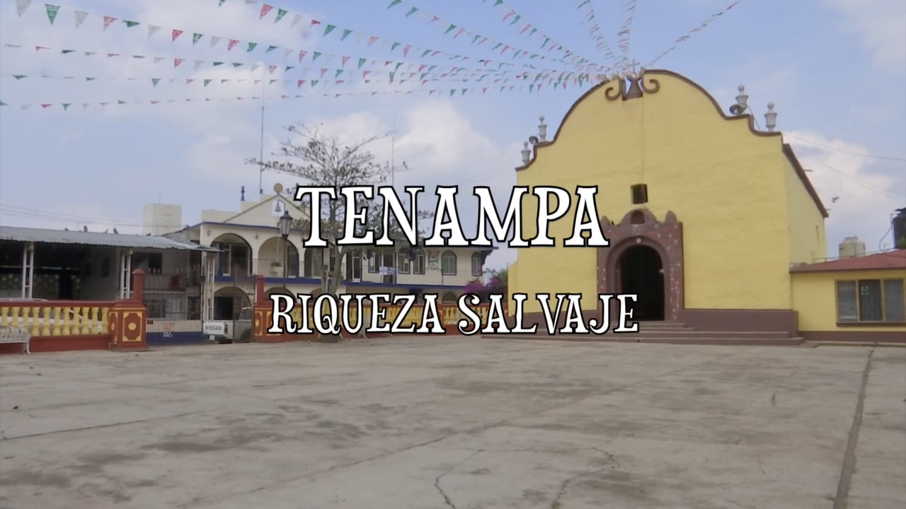 Tenampa, riqueza salvaje