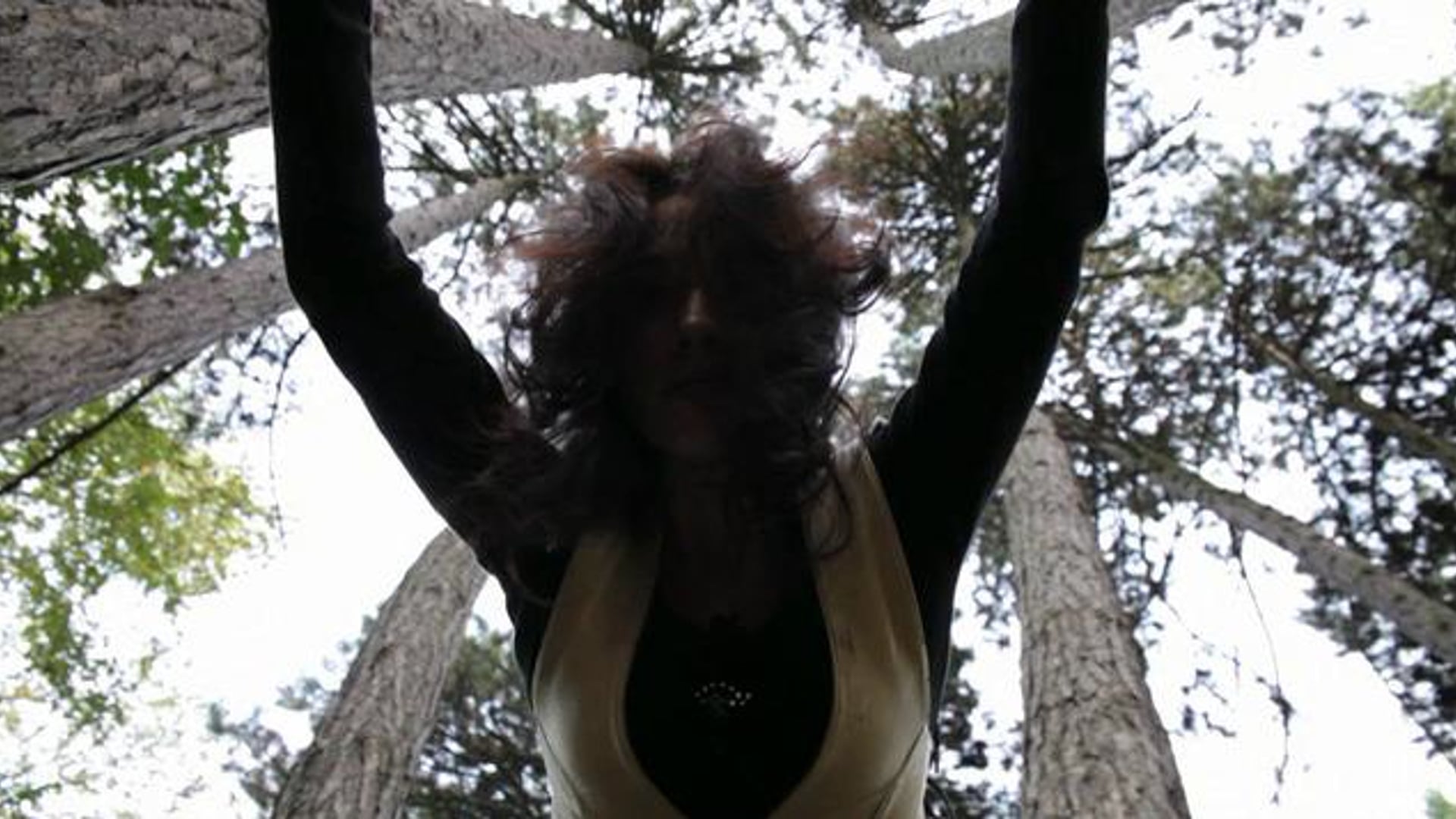 CAMERA ON DANCE - in the trees