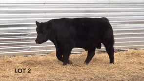 Lot #2 - LL RECKON 9107