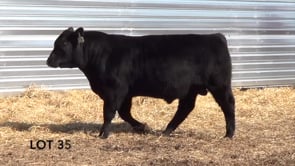 Lot #35 - LL PATHFINDER 079