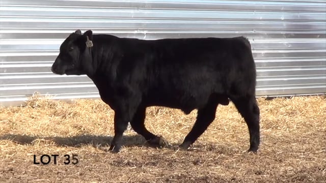 Lot #35 - LL PATHFINDER 079