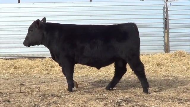 Lot #34 - LL PATHFINDER 076