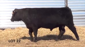 Lot #22 - LL FLAT TOP 039