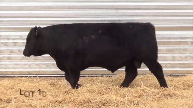 Lot #10 - LL AUTHORITY 9174