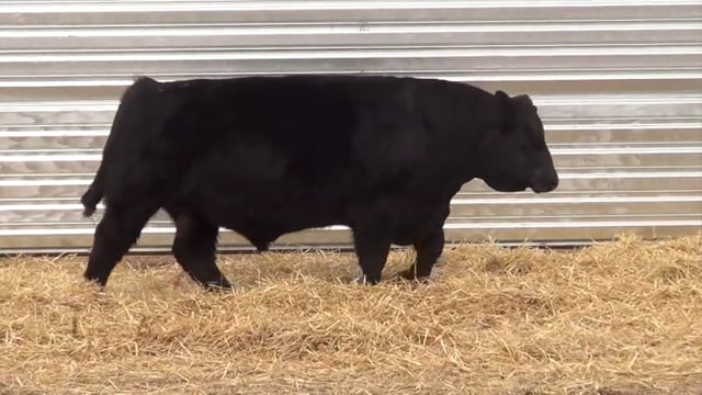Lot #6 - LL GUNSLINGER 9160