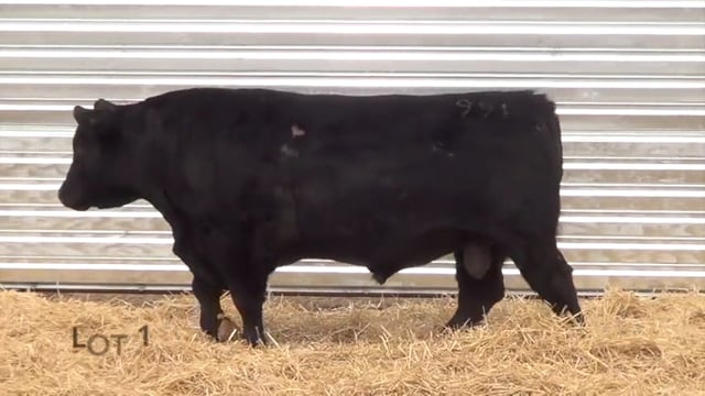 Lot #1 - CL RECKON 991