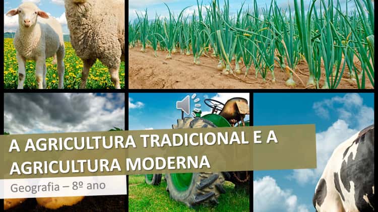 agricultura moderna