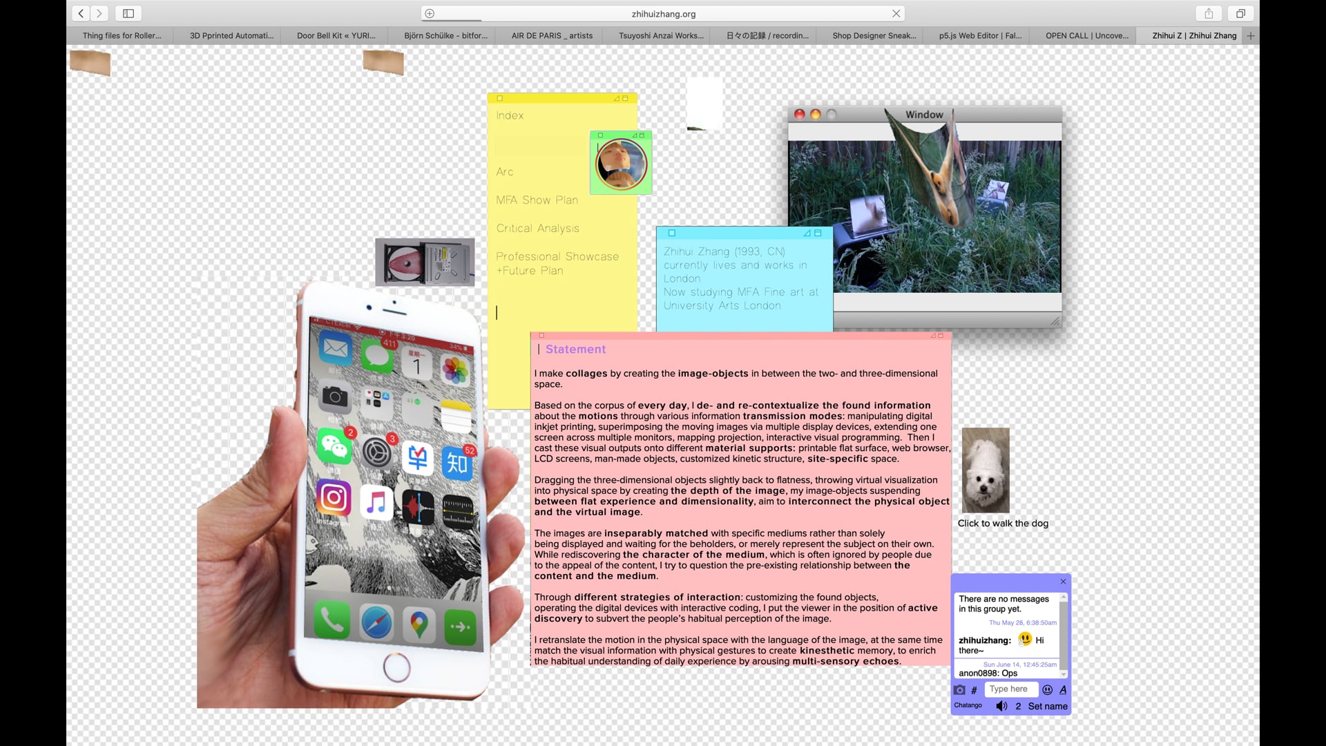 Falling Hairs, Zhihui Zhang
