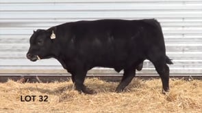 Lot #32 - LL PATHFINDER 047
