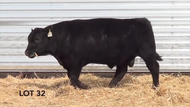 Lot #32 - LL PATHFINDER 047
