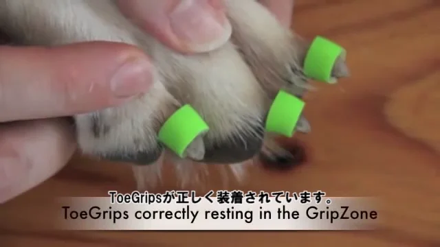 Help your dog stop slipping on hardwood, tile, laminate floors