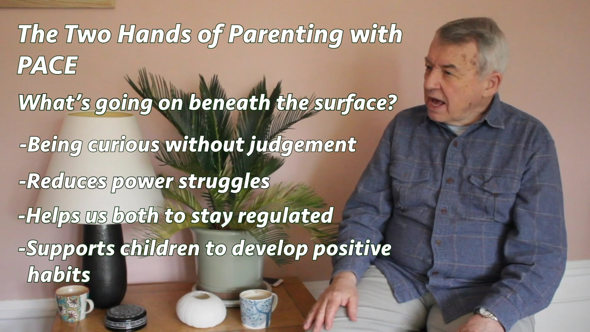 Therapeutic Parenting with PACE - The Two Hands of Parenting on Vimeo