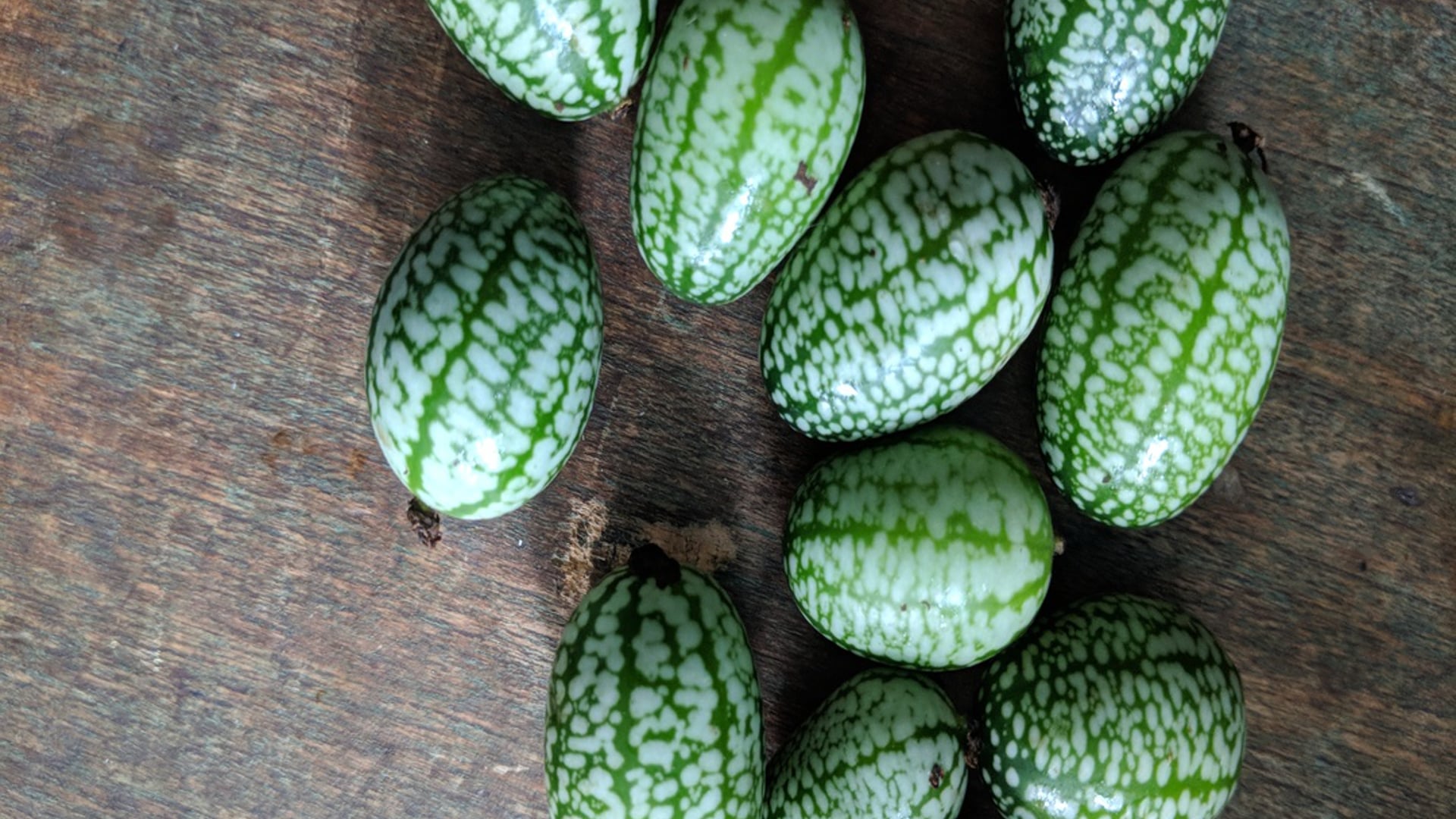 2021 March 15: Sammasati