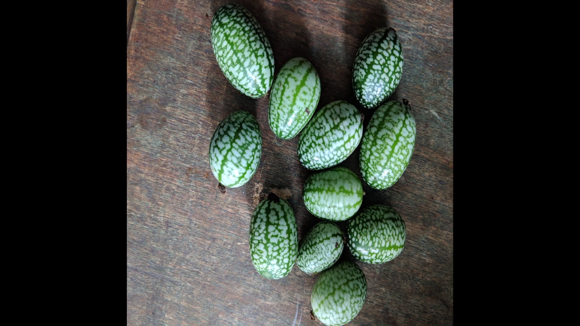 2021 March 15: Sammasati