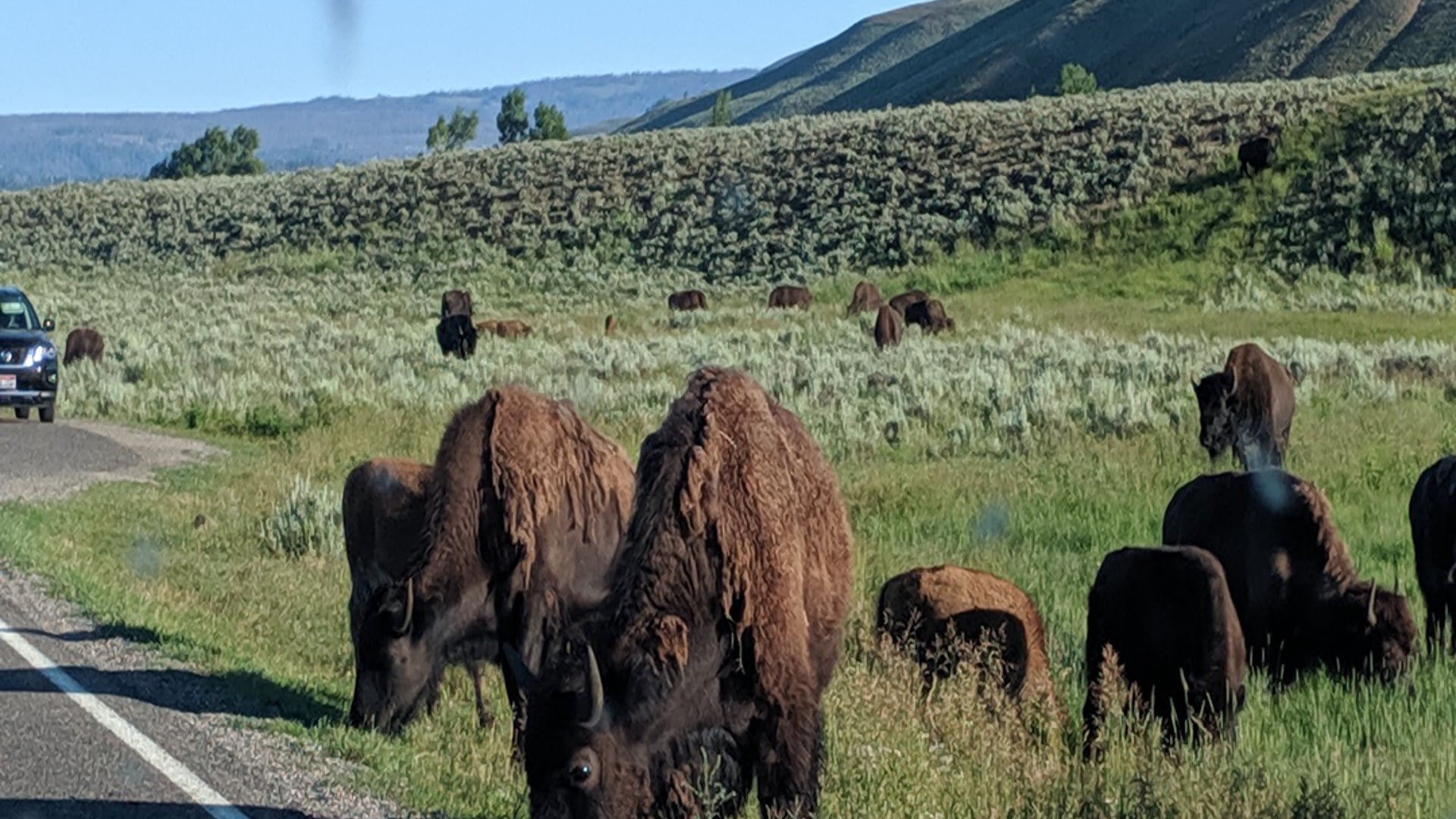 2021 March 16: Exploring the Move from Concentration to Mindfulness