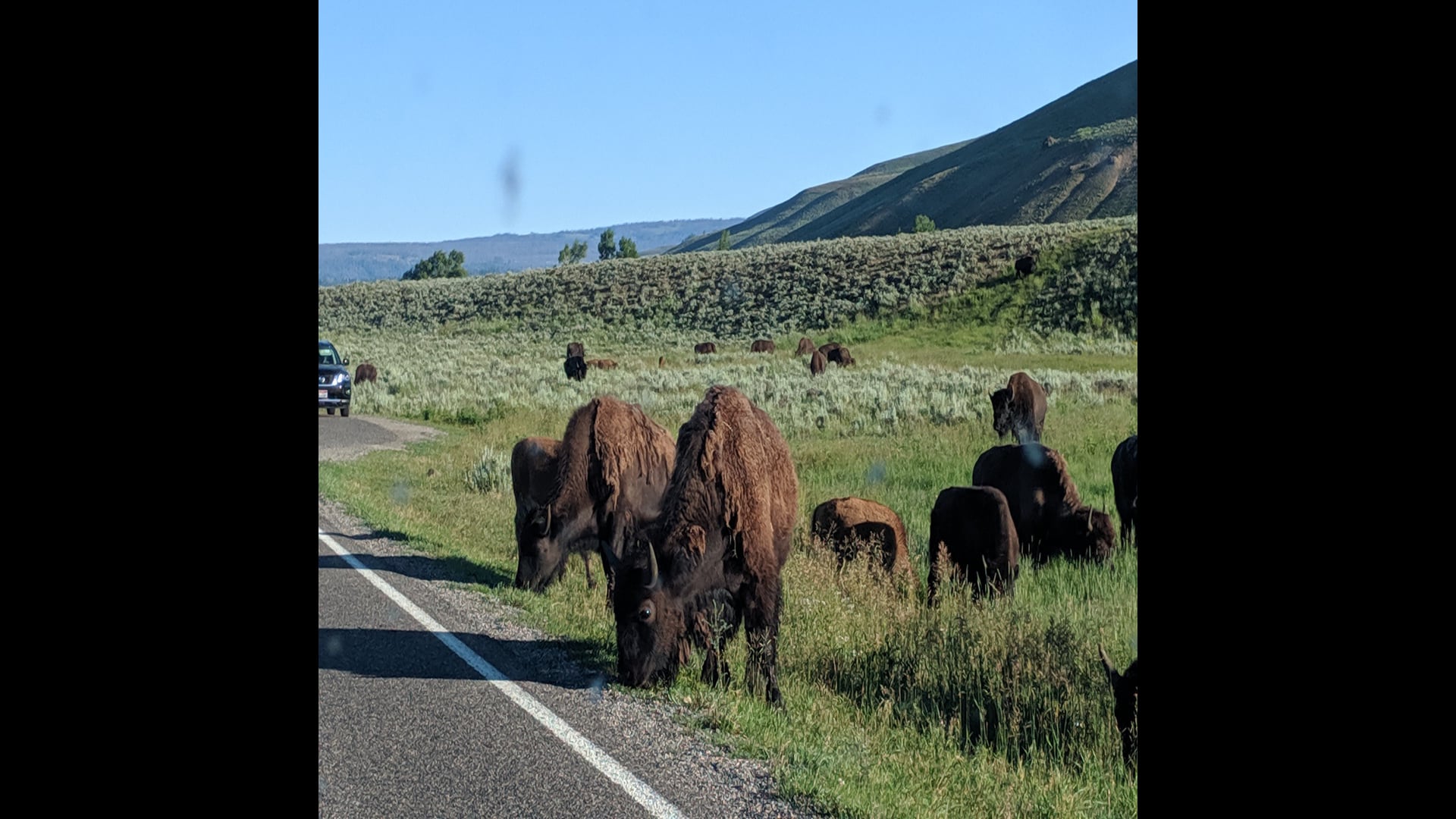 2021 March 16: Exploring the Move from Concentration to Mindfulness