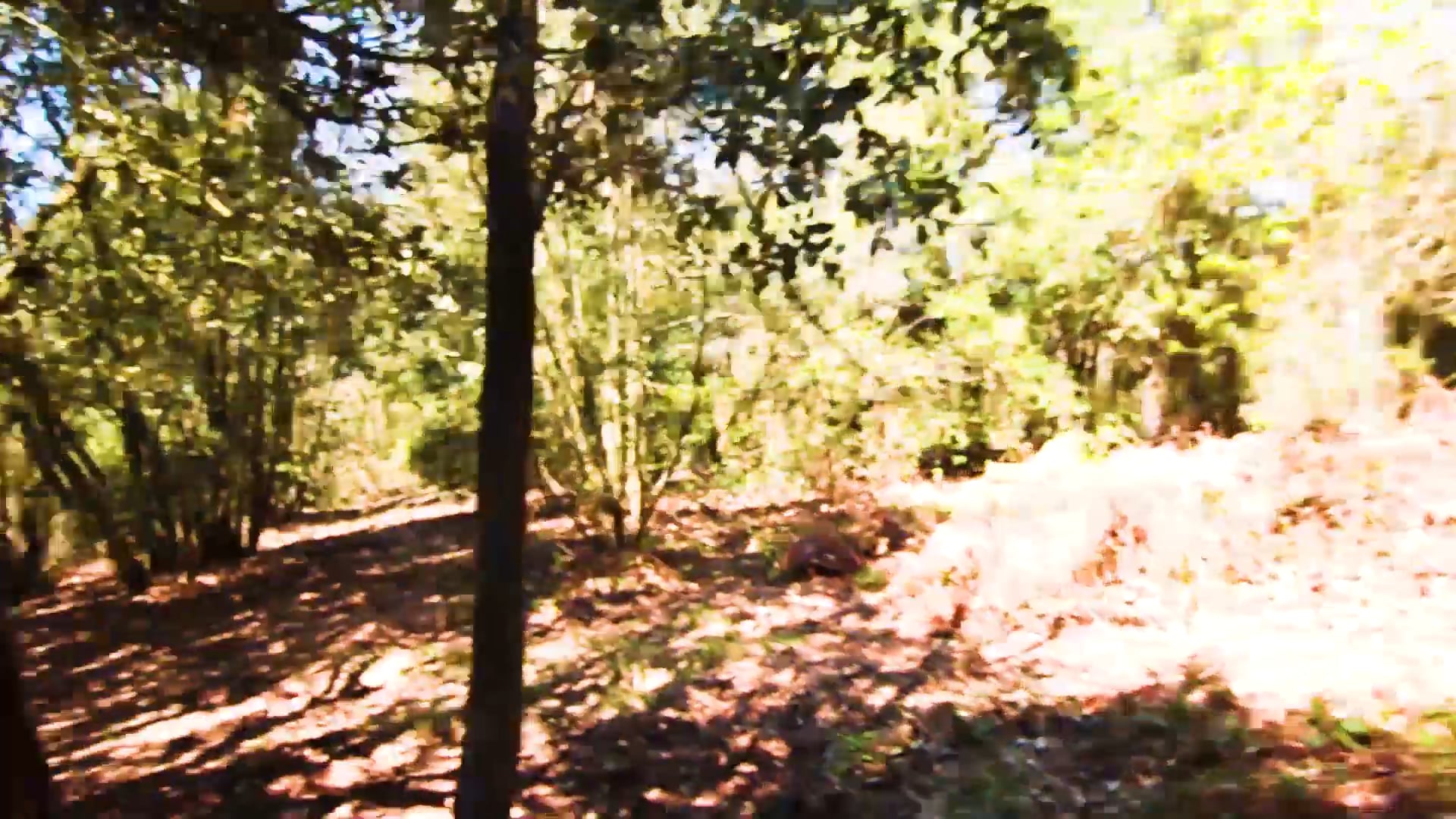 Music video "BROKEN NIGHT"Work of 2018 on Vimeo