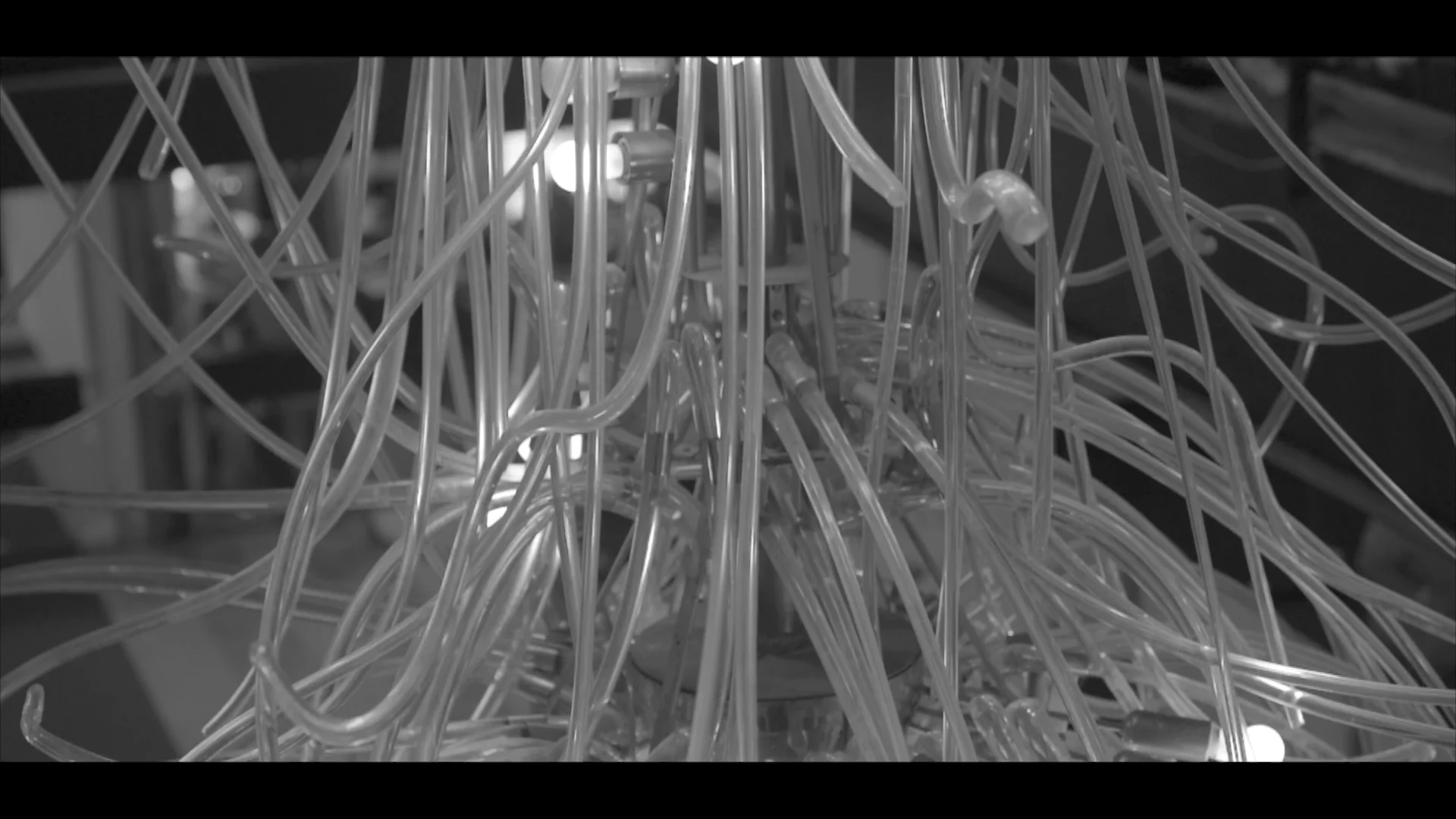 thermal-hotel-short-on-vimeo