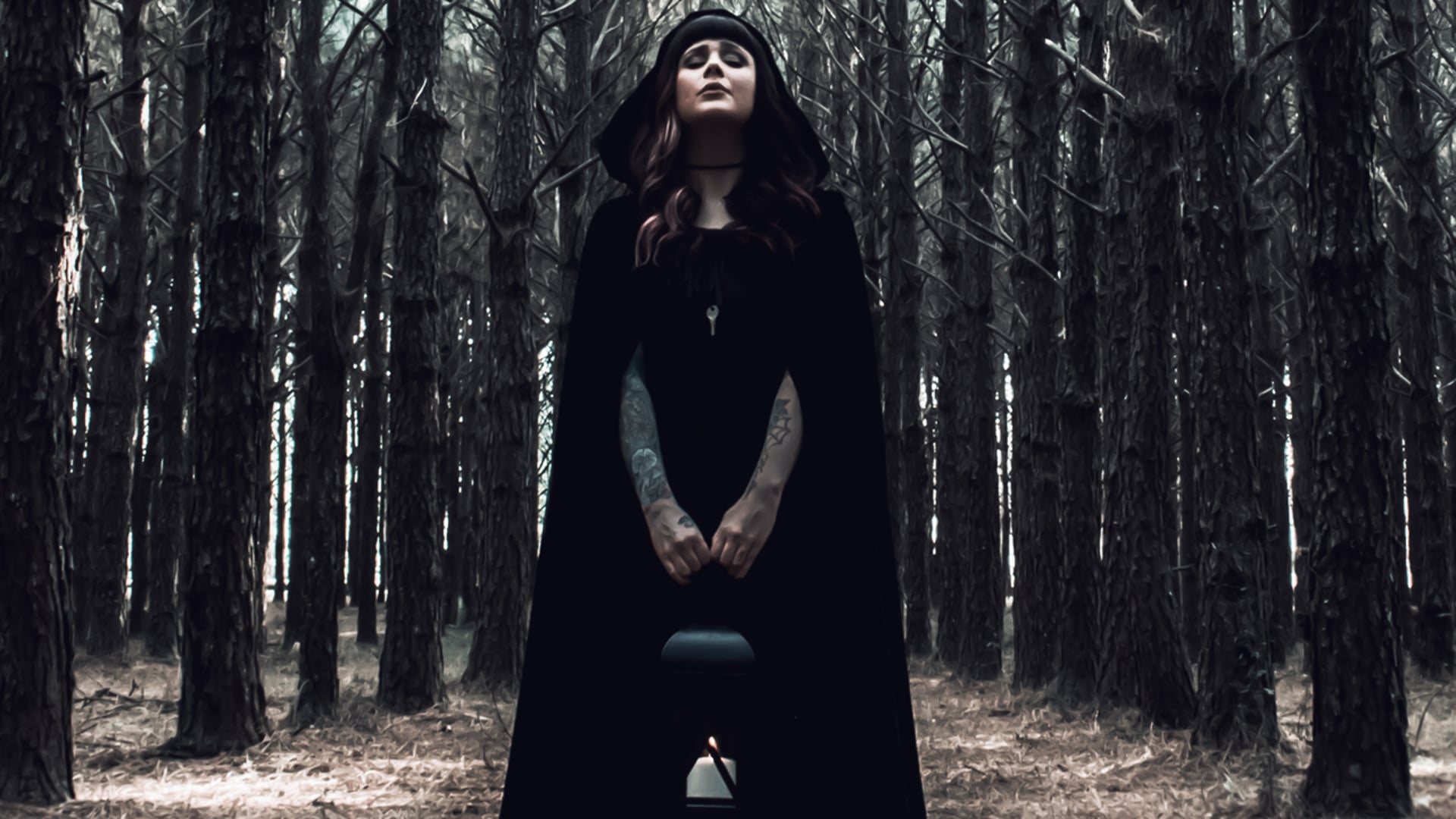 Mystery of the Woods Book Trailer