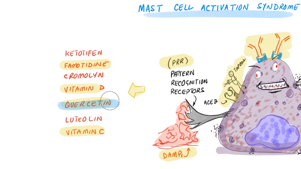 COVID Long Haulers - Mast Cell Activation Syndrome (MCAS) Part - 1